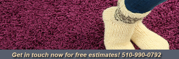 page-carpet